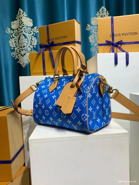 AAA Pruses Bags Louis SPEEDY Vuitton 25 0711